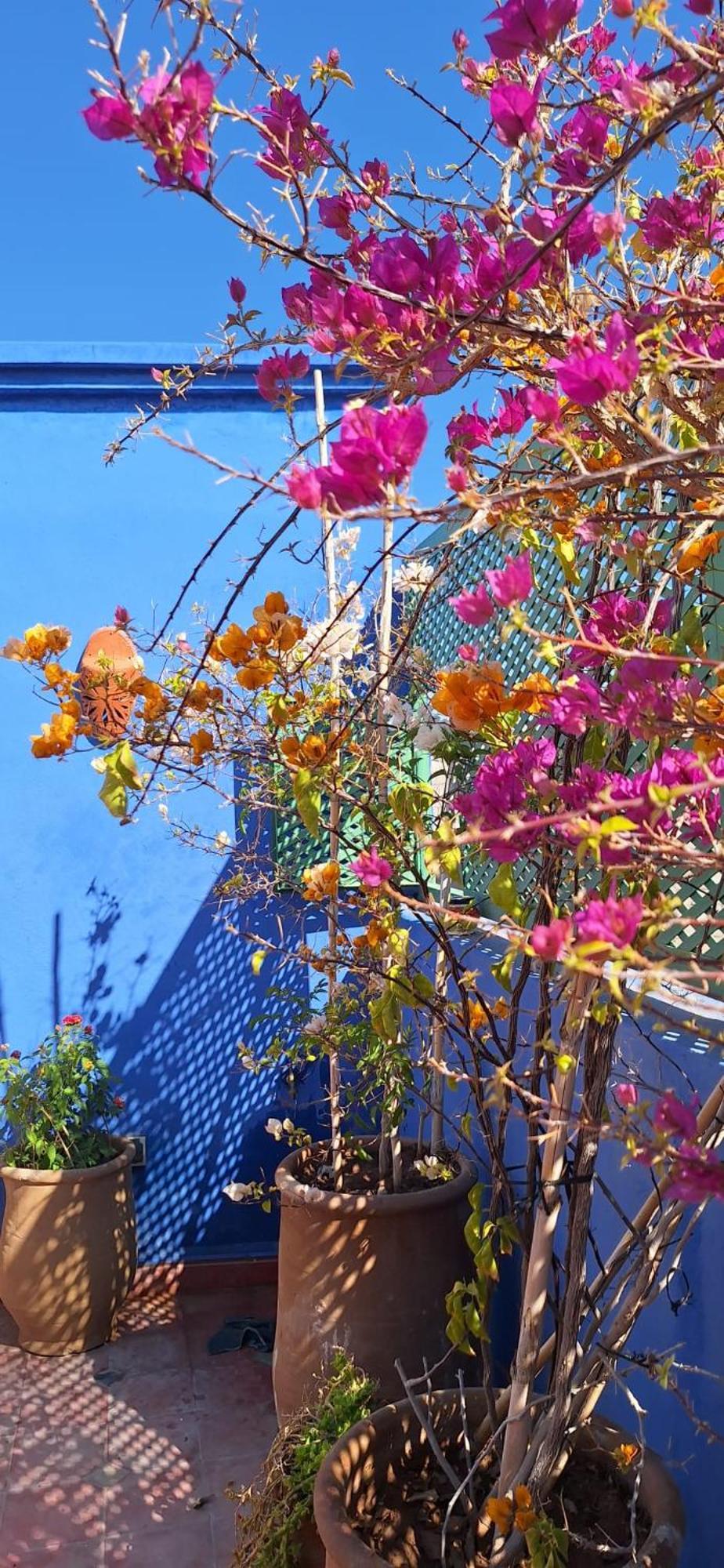 Riad Med Agora มาร์ราเกช ภายนอก รูปภาพ