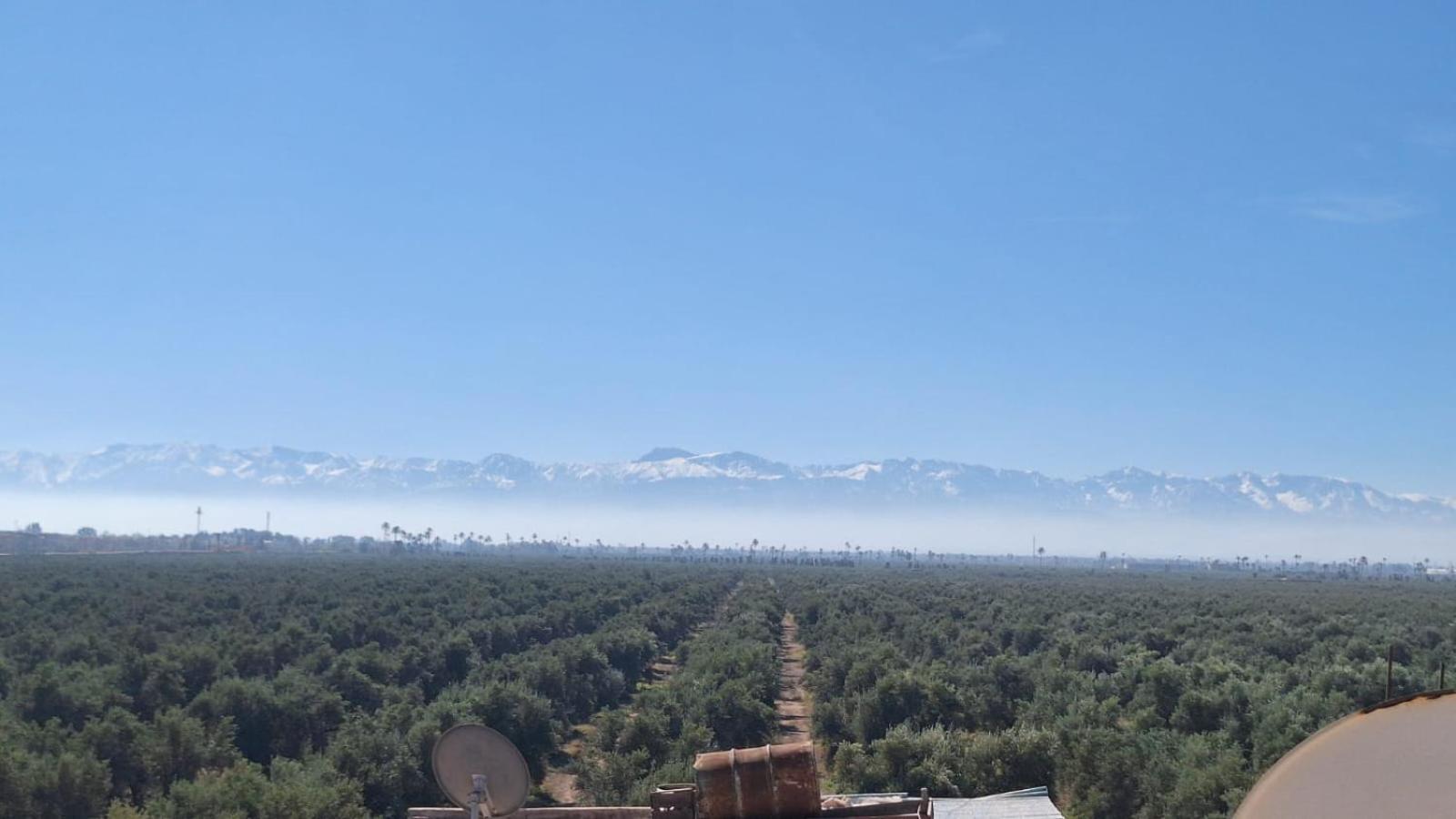 Riad Med Agora มาร์ราเกช ภายนอก รูปภาพ